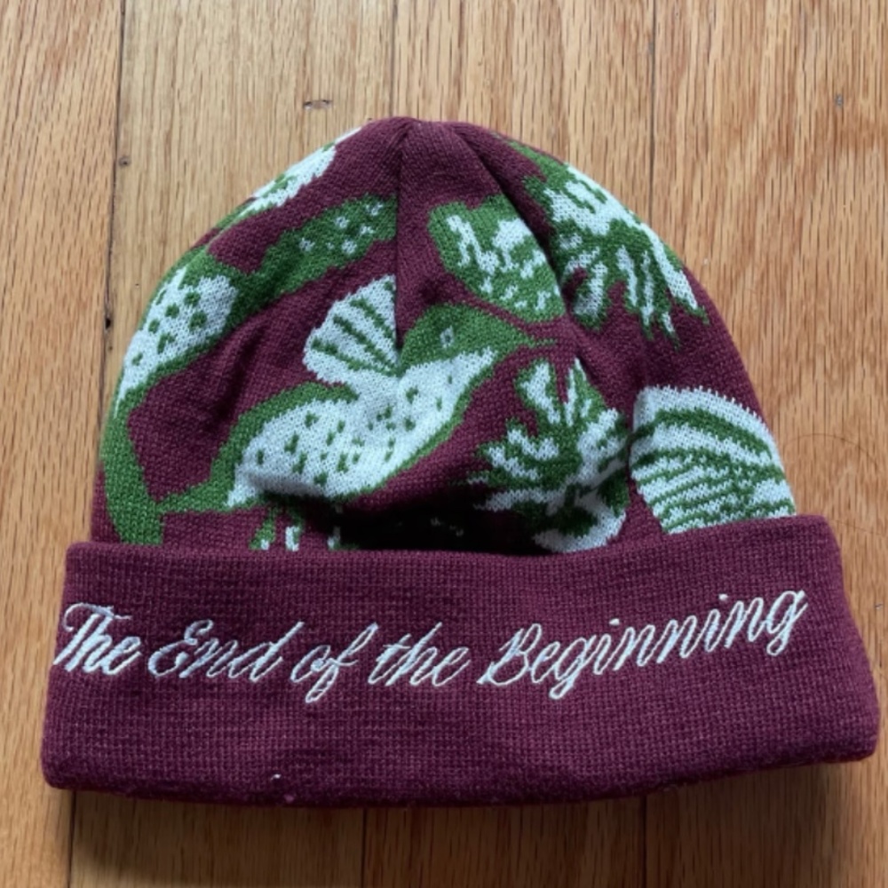 The hundreds beanie